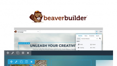 Beaver-Builder-Professional-WordPress-Plugin