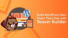 beaver-builder-free-download-clean-version