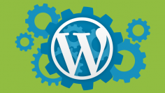 wordpress-options