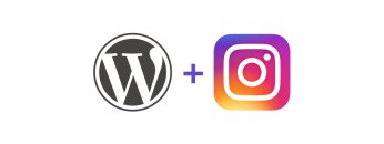 wordpress-instagram-plugin-ani